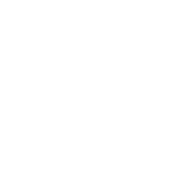 Pennyswift Logo